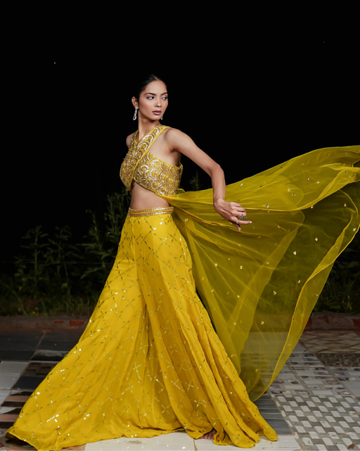 Dee Vee Couture: Designer & Luxury Ethnic Women Clothing Store in Chandni  Chowk